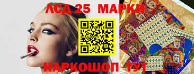 шишки Тайшет