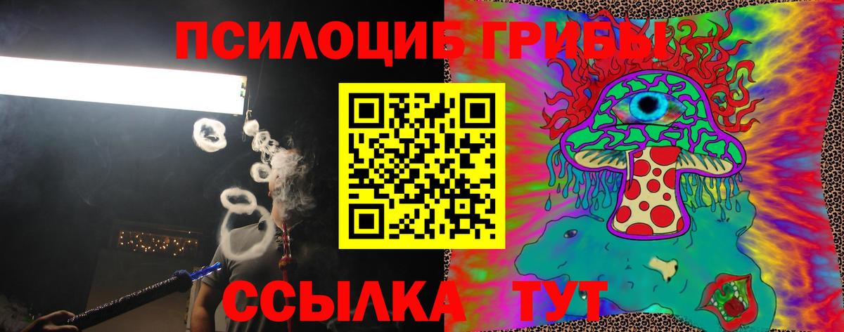 Великий Устюг  Псилоцибиновые грибы MAGIC MUSHROOMS  Вход с VPN 